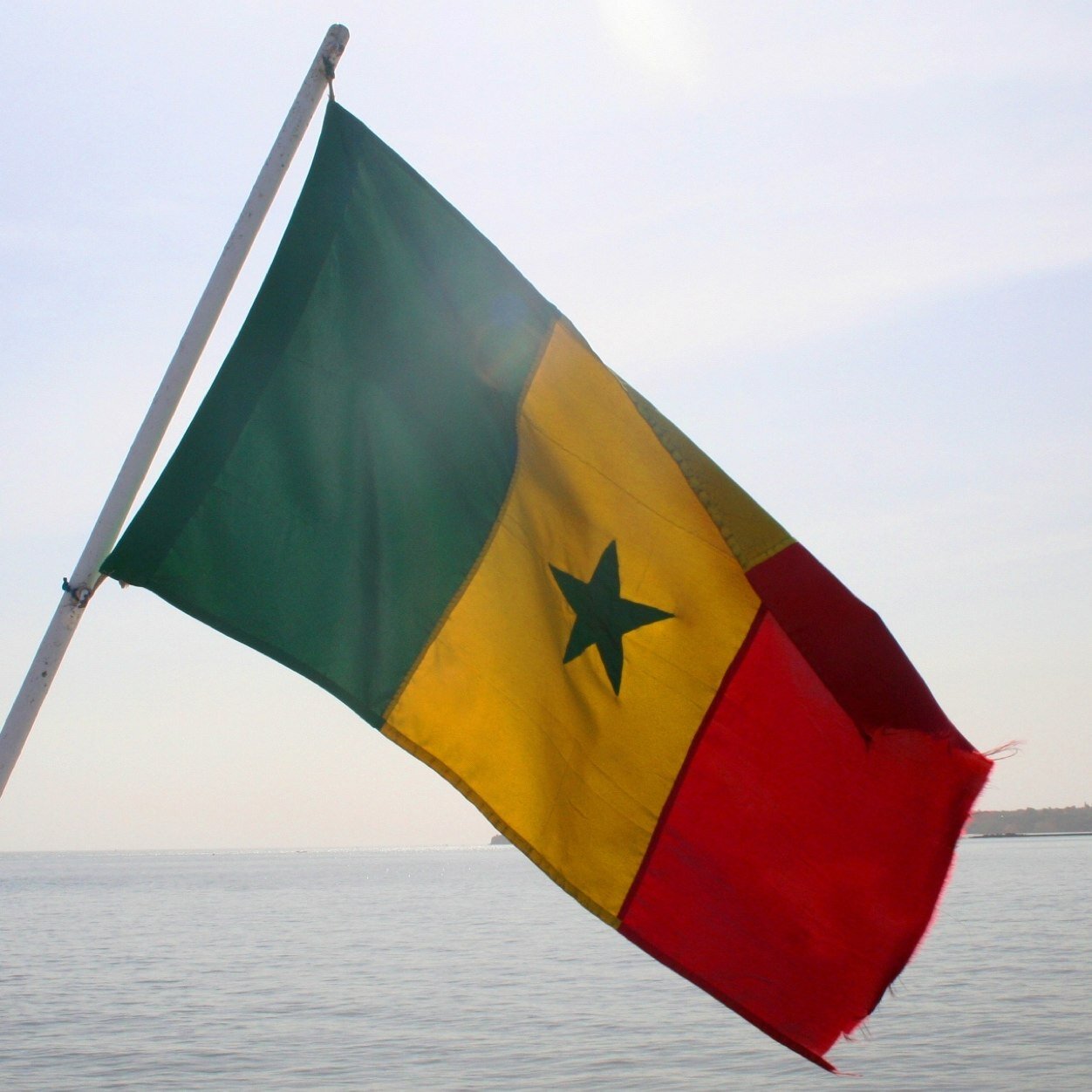 Compte pour la #Team221 Senegalais Senegalaise personne peut nous egaler