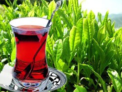 bedelli_ogrenci's profile picture. 