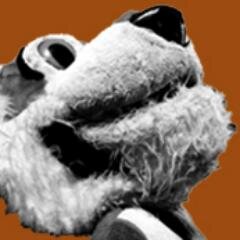 BRFHSnews's profile picture. The Official Twitter Account of the BRFHS Student Newspaper, The Paw Print Online