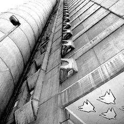 dasdeckard's profile picture. 