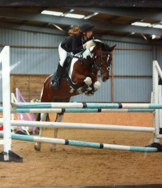 showjumper, norfolk, own 3 ponies, lily, flame and alfie :D