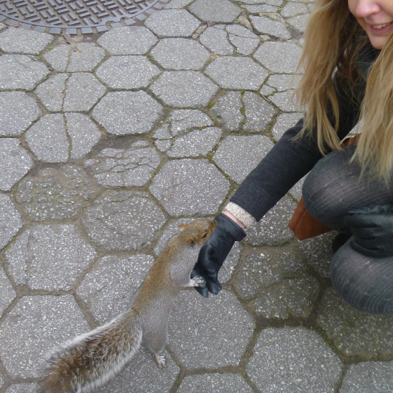 S3cret_Squirre1's profile picture. 