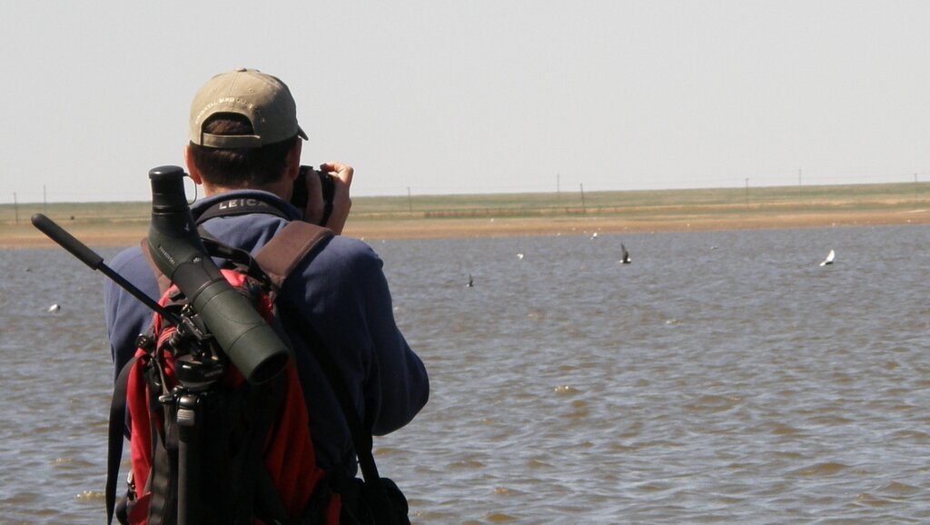 Fermanagh -  breeding waders, seabirds, pelagics, wildlife, UKOTs, music, clouds, art, photography