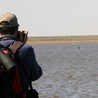 Brad Robson (@bradrobson1) 's Twitter Profile