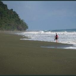 oldraleighbolts's profile picture. Raleigh Native