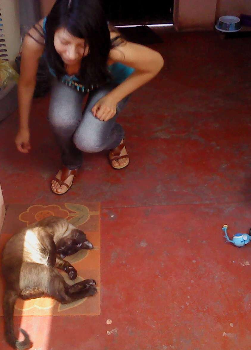 profesora en la I.E. 40310 de Acoy, mamá de un hermoso hijo y engreidora de un lindo  gatito :)