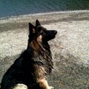 CRAIG ROWLEY - @CRAIGRowley64 - Twitter