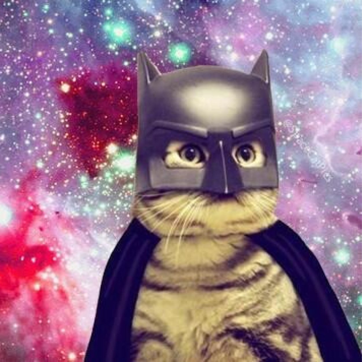 Just a glimpse inside the mind of your not so average introvert. I'll follow you back.