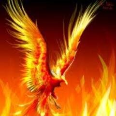 GeoffPWade's profile picture. If you are not willing to learn no one can help you.
If you are determined to learn no one can stop you.