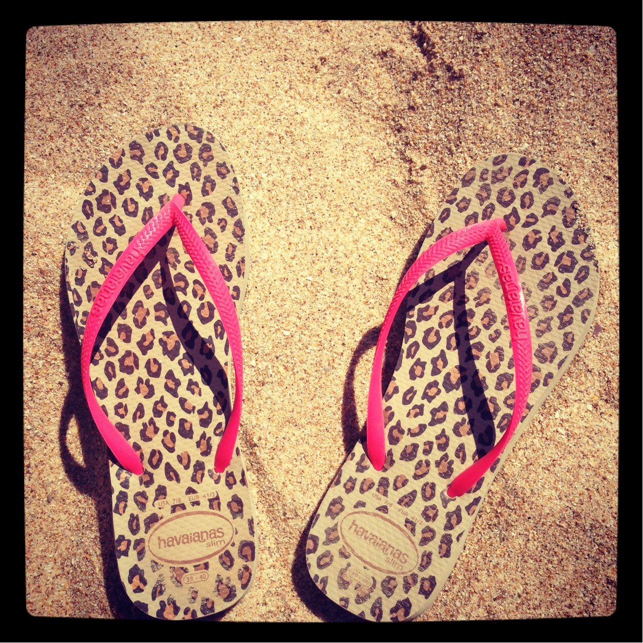 begaluis's profile picture. 