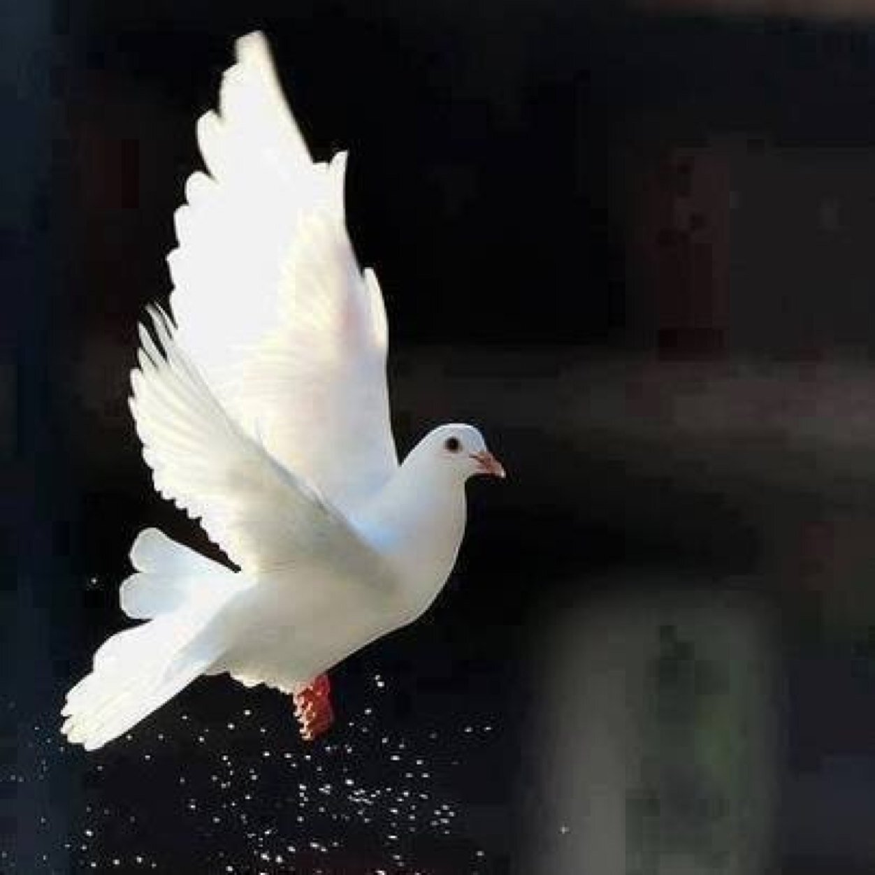 Im just a friendly kind hearted person who loves people!! :)
