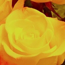 MyrnaGaye's profile picture. Funny, serious, sensitive, smart, Capricorn, health conscious, Nurse Practitioner