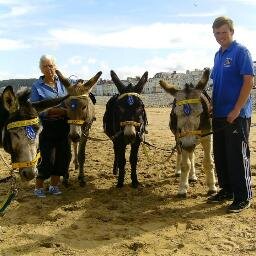 This is llandudno donkeys we work on the north shore beach at llandudno we would cater for party's or any local carnivals and fun days