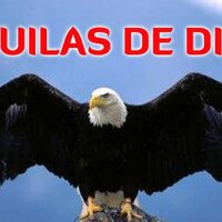 Águilas de Dios(@AguilassdeDios) 's Twitter Profile Photo