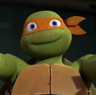 Hey guys I'm Mikey from #Nick I have 3 bros Donnie, Leo, and Raph. #Rp