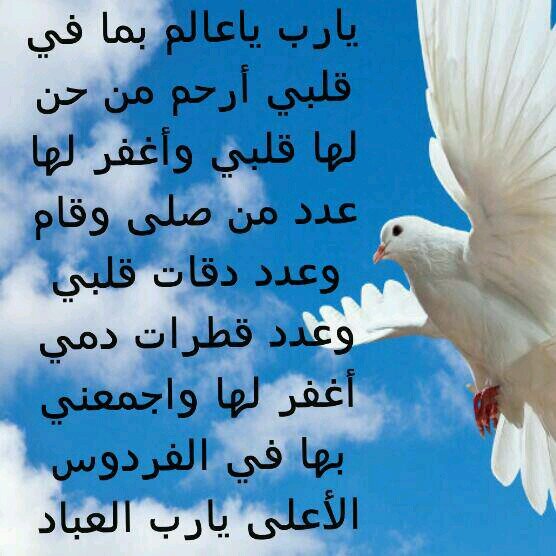 ‏‏نَقص قًدْرِي بعْد مَوْتُكِ وغآبَت نشْوَةُ اللَذآت .,