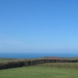 GOSPIGS's profile picture. Facebook Group : Red Alert Dogs Lost/Stolen in the Last 24hrs