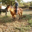 Jose Senra - @ea1gbg - Twitter