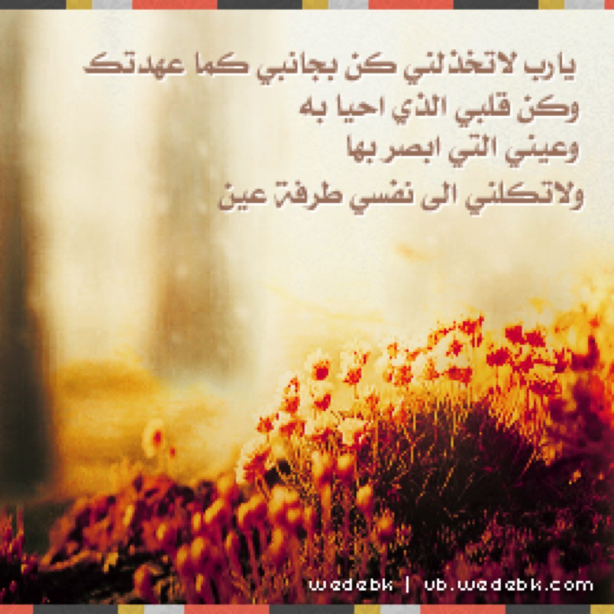 راح من هو يسوى بعيوني قبايل وش عزاي الا دعاي ودمع عيني