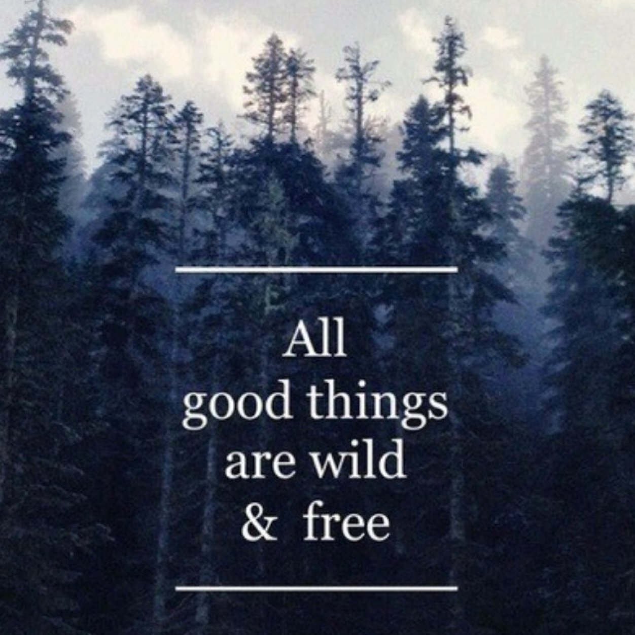 Warpedwonders's profile picture. | very sad soul |

    #illueminati