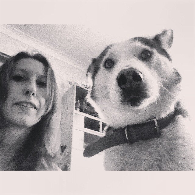 Gypsydal's profile picture. Trying to fit as much as I can into a lifetime 😊❤️