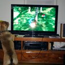 Holly Ahern - @BeatsyHoFo - Twitter