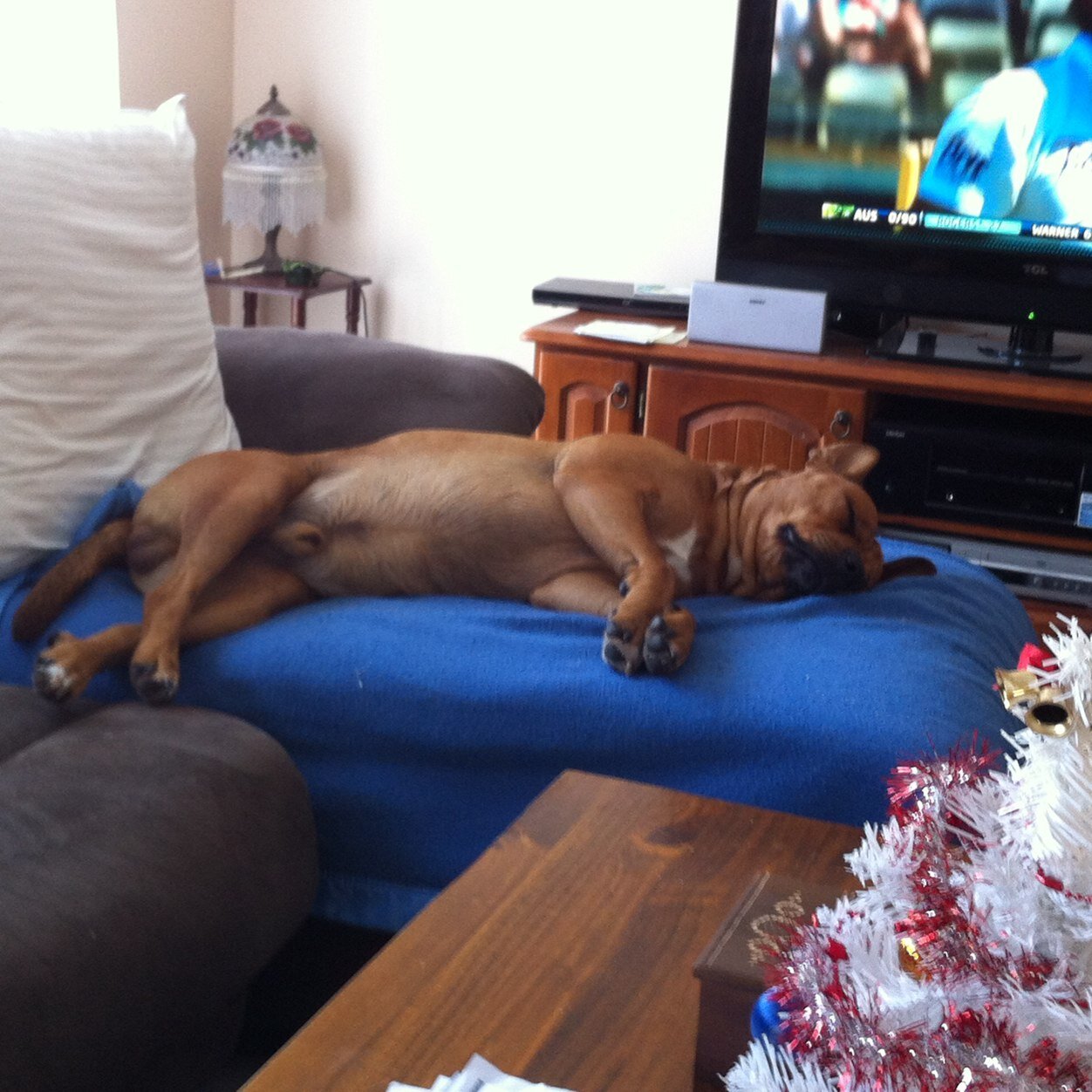 mmorro64's profile picture. 