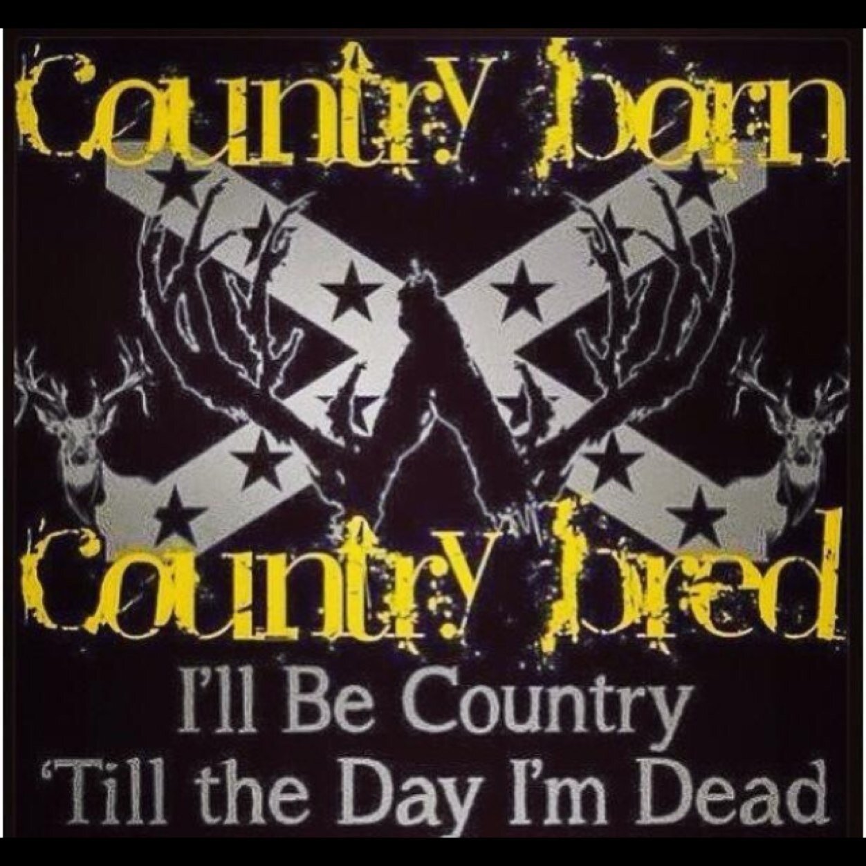 Decoyking's profile picture. 