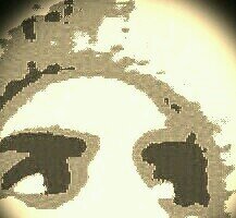 Pato_Everywhere's profile picture. No temo a la muerte, simplemente temo a perder a quienes quiero. Aunque siendo realistas eso ya da igual.