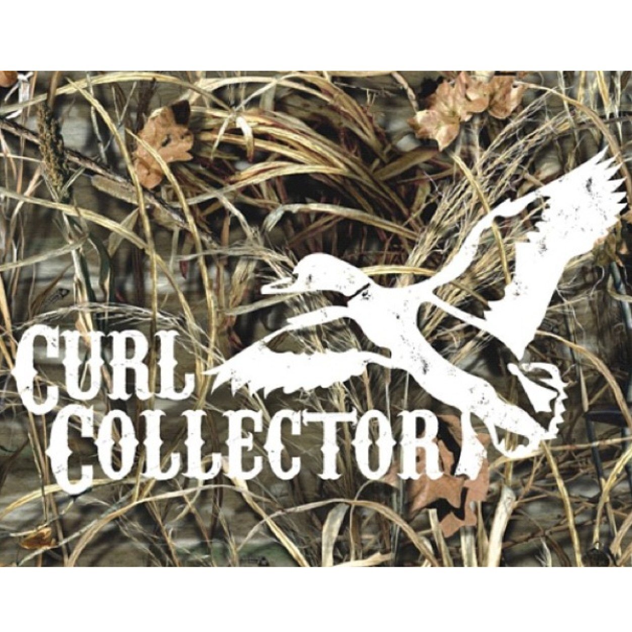 Good ol boys that love gun powder, steel shot, green heads cuppin it, and huntin with good dogs N' good friends. Instagram: Curl_Collector 2nd twitt: @bj_Redman