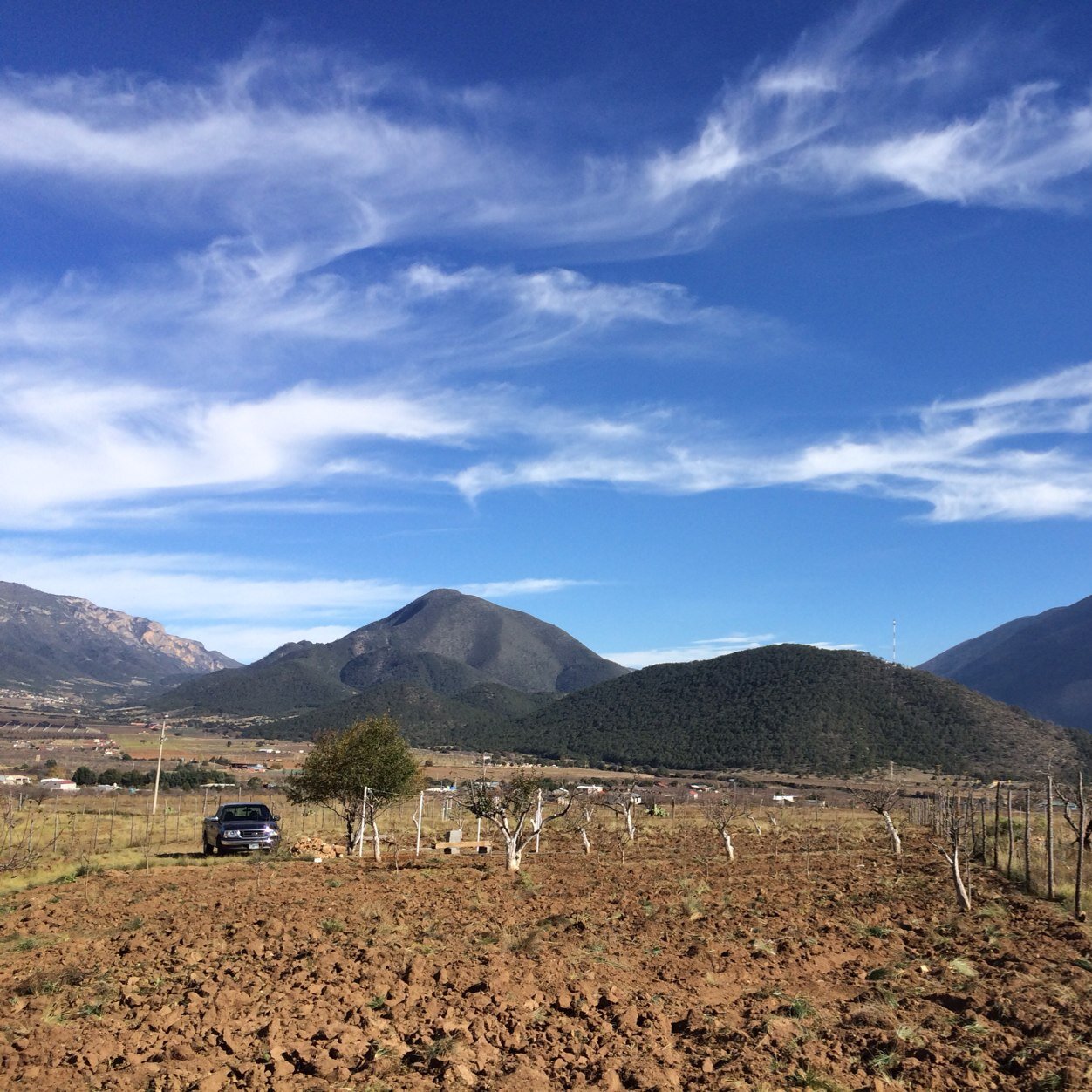 Monterrey,NL. México. Agrónomo. Bioterra. Nutrición y protección vegetal. Agradecido con Dios.