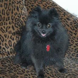 NadineWalz's profile picture. 