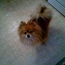 Rob Whitehouse - @RobWhitehouse8 - Twitter