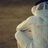 m_alde7anii's profile image