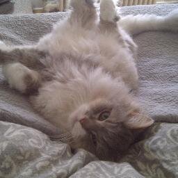 MiriamKinkaid's profile picture. 