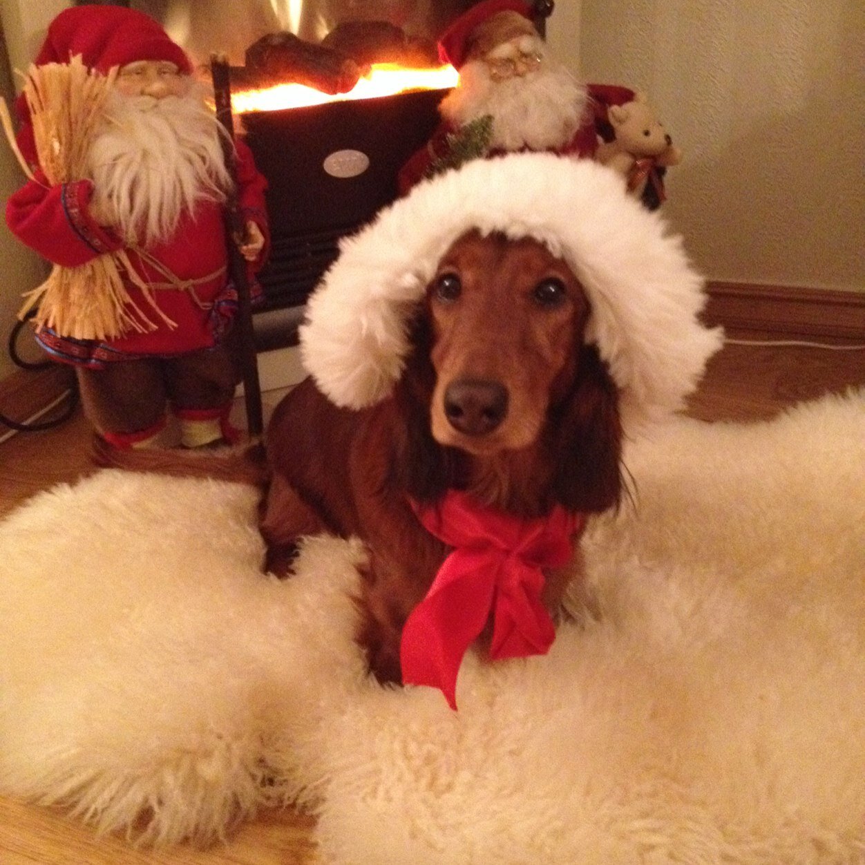 Zarathewiener's profile picture. Find me on instagram @zarathewiener!