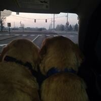 scotttovey's profile picture. Just your everyday professional tile athlete with my faithful sidekick yellow lab Baylie (aka The Diva)