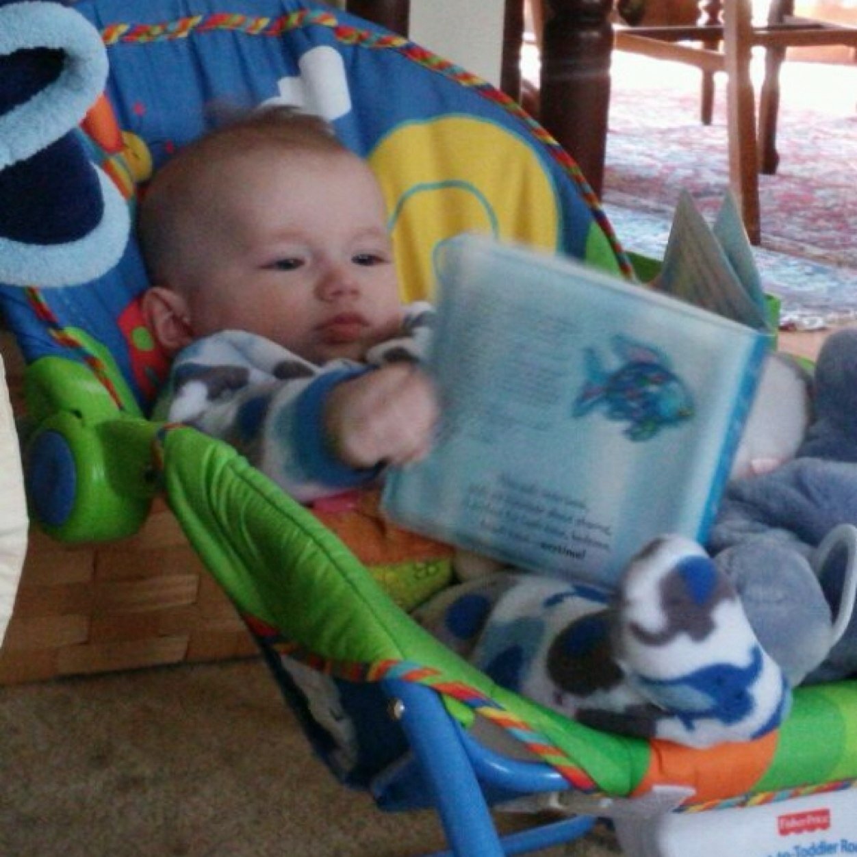 bgBeFree's profile picture. 