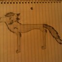 wolf doctor (11th) (@11th_wolf) Twitter