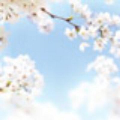 明るい性格よ Akaruiseikaku Twitter