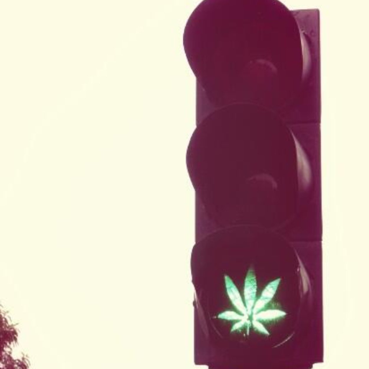Just your everyday stoner