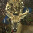 kade leblanc - @kadeleblanc_ - Twitter