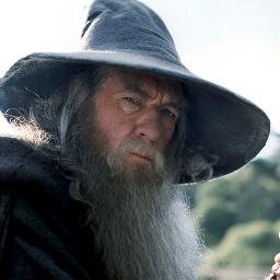 Gandalf the grey. Greatly known by many. I was the one who brought this company together. Shall we get your kingdom back, Thorin?