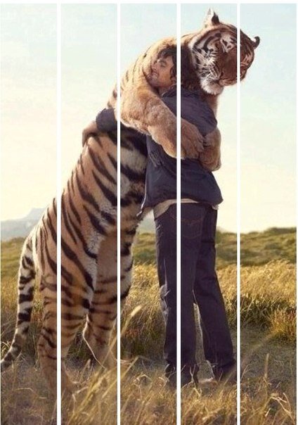 SmoyaE's profile picture. 