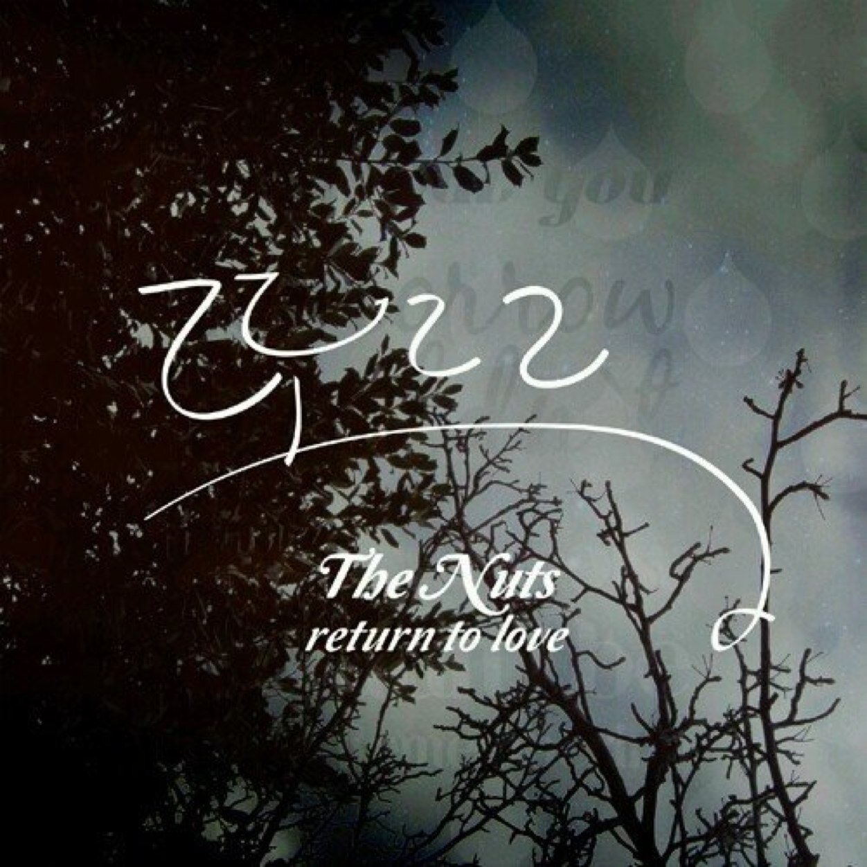 _thenuts's profile picture. 더넛츠 좋아해요? | (international) 팬베이스 since 050513 ♡