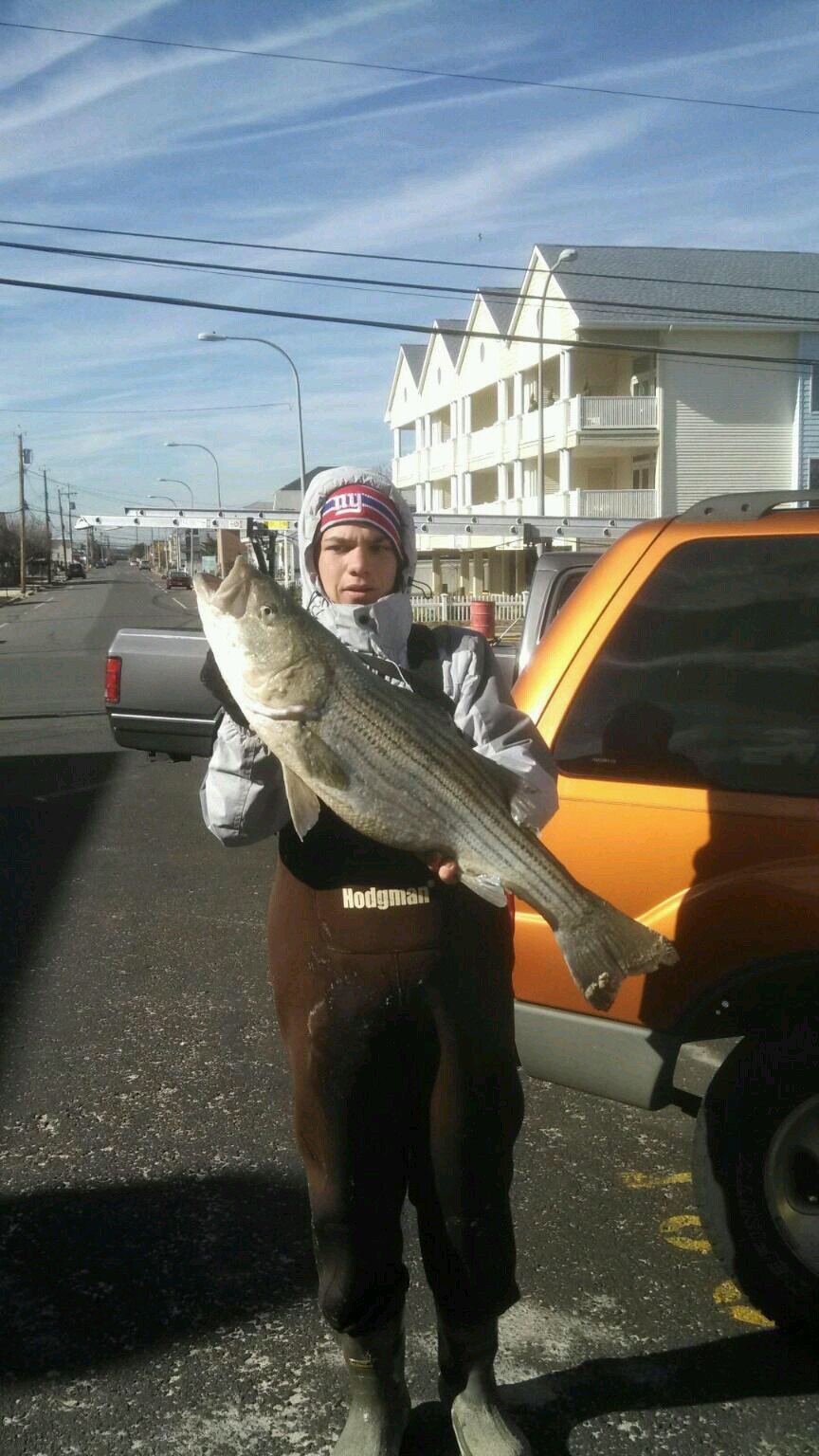 BDilonardo's profile picture. 