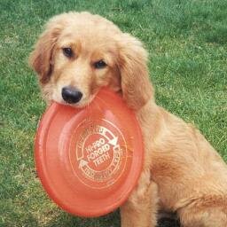 Malor77's profile picture. 