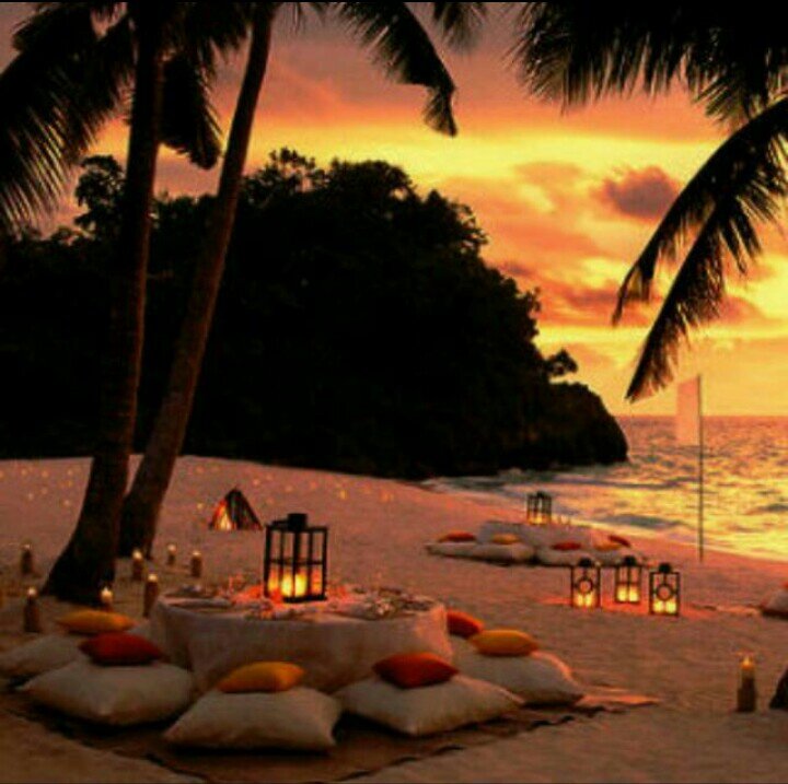 SsaAbdullah's profile picture. 