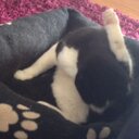 Daisy Ellis - @DaisyEllisssss - Twitter