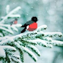 Пишите! Поболтаем!